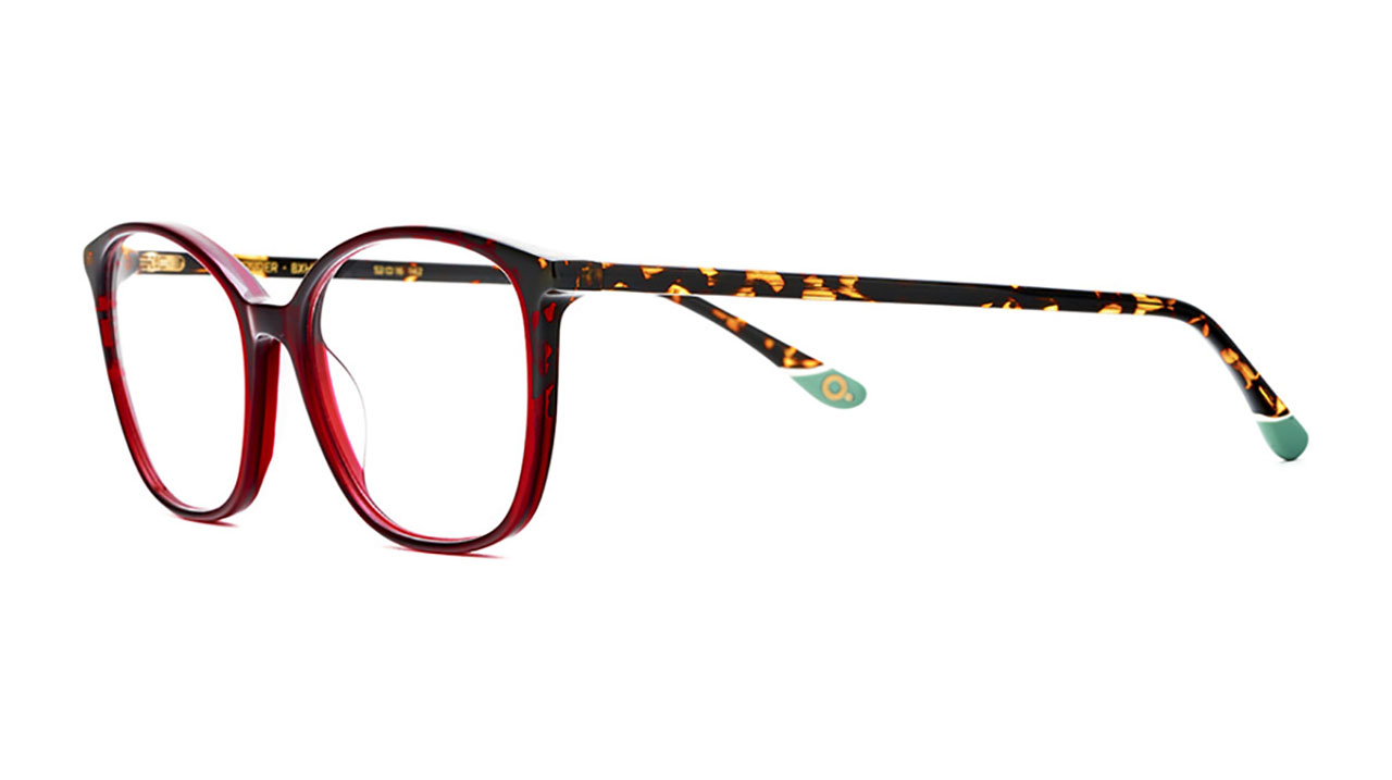 Paire de lunettes de vue Etnia-barcelona Lavender couleur rouge - Côté à angle - Doyle