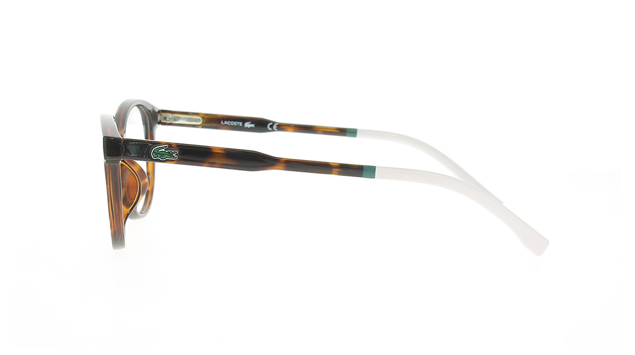 Paire de lunettes de vue Lacoste-junior L3636 couleur brun - Côté droit - Doyle