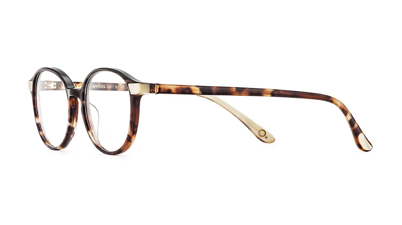 Paire de lunettes de vue Etnia-barcelona Anvers 20 couleur brun - Côté à angle - Doyle