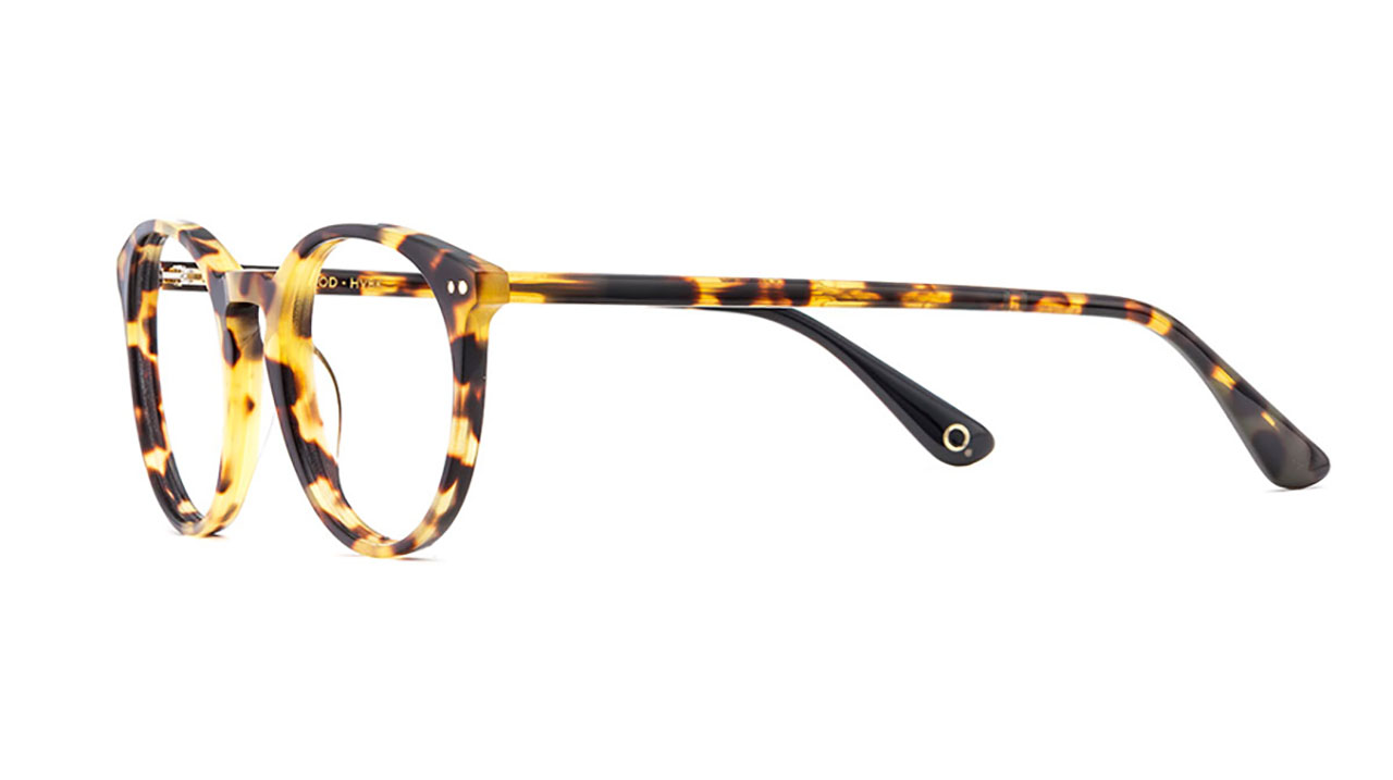 Paire de lunettes de vue Etnia-barcelona Lakewood couleur noir - Côté à angle - Doyle