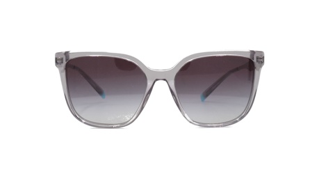 Paire de lunettes de soleil Tiffany Tf4165 /s couleur gris - Doyle