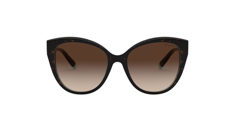 Paire de lunettes de soleil Tiffany Tf4166 /s couleur brun - Doyle