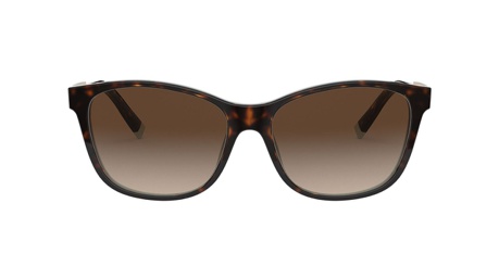 Paire de lunettes de soleil Tiffany Tf4174b /s couleur brun - Doyle