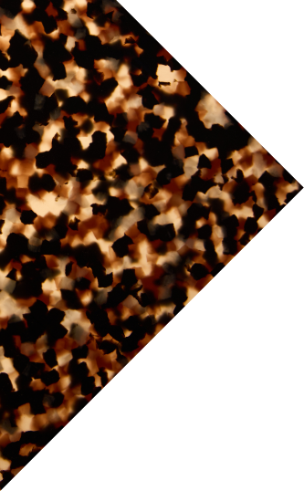 Discover the Mile‑End frame - Leopard